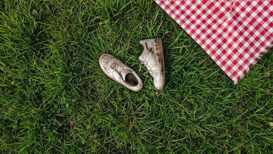 Sneakers sporche in un prato post picnic