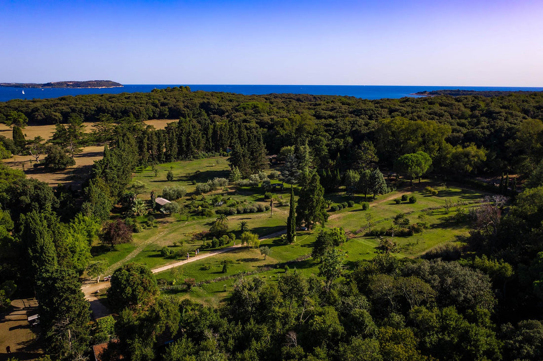 giardino mediterraneo