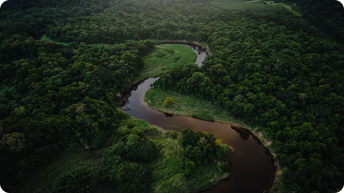 landscape naturale