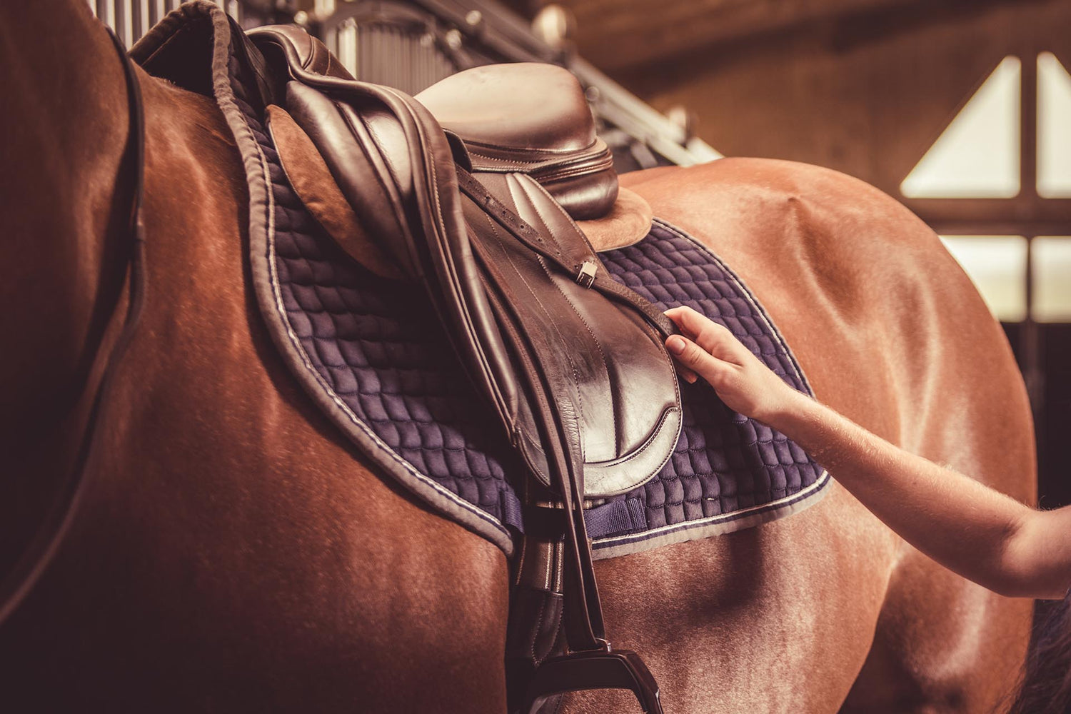 Sella pulita e nuova su un cavallo